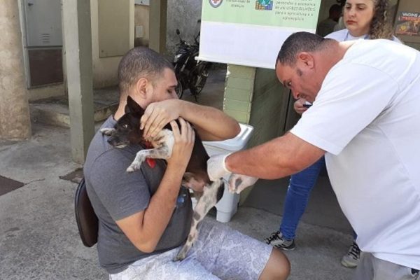 Belo Horizonte amplia vacinação antirrábica para cães e gatos com dois novos pontos