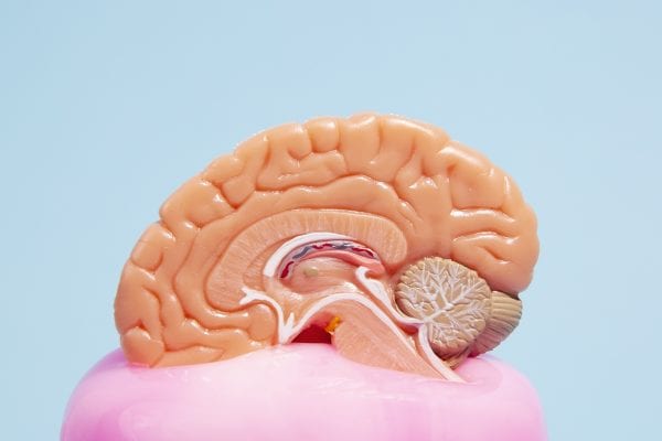 Estimulação cognitiva pode retardar perda de funções no Alzheimer, aponta estudo