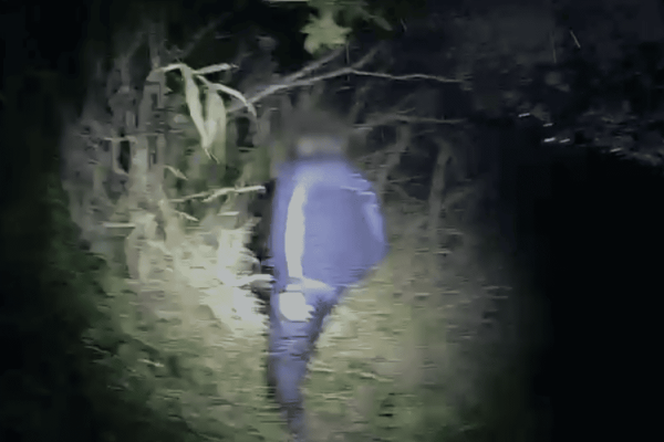 Menino de 6 anos desaparecido é encontrado pela PM em mata na zona leste de SP