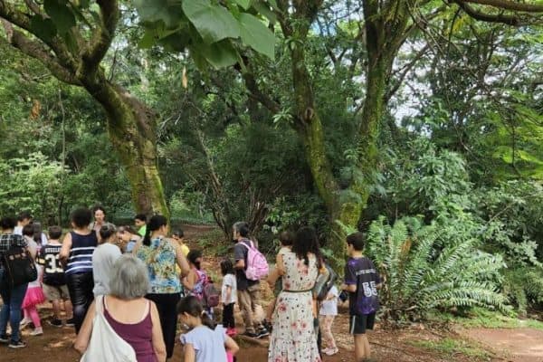 Parques de BH Comemoram Aniversário com Trilhas Guiadas e Atividades Gratuitas
