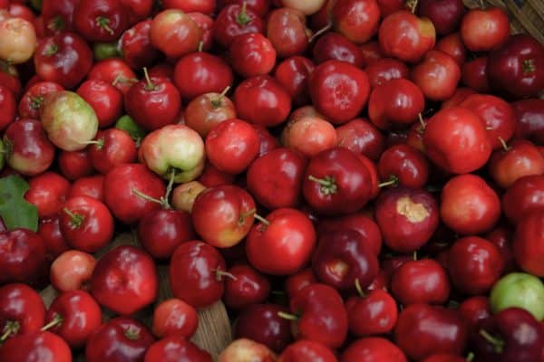 Primavera começa com 7 frutas ricas em vitamina C e nutrientes