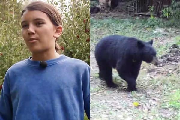 Menino de 12 anos enfrenta urso e escapa de ataque nos EUA