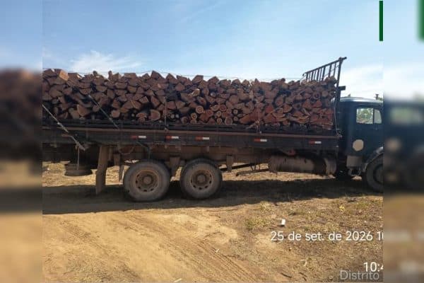 Operação ambiental interrompe grilagem na Serrinha do Paranoá