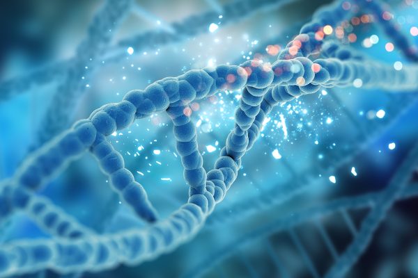 Defeito em proteína do óvulo pode impactar embrião e elevar mutações
