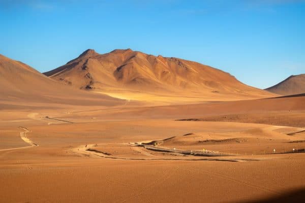 Milagre! Fenômeno faz o deserto do Atacama virar uma mar de flores! Veja as fotos!
