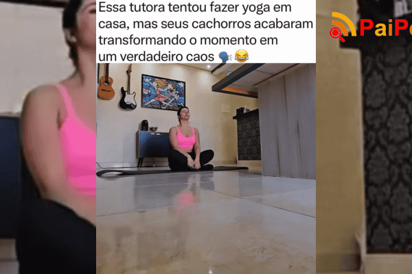 Tutora tenta fazer yoga em casa, mas cachorros transformam exercício em verdadeiro caos