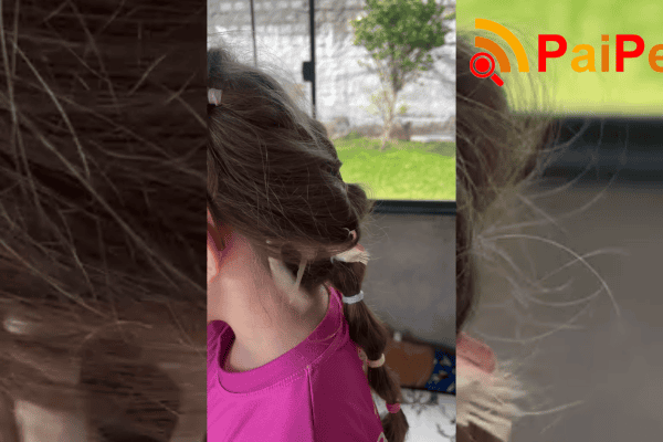 Vídeo de menina e calopsita viraliza nas redes sociais