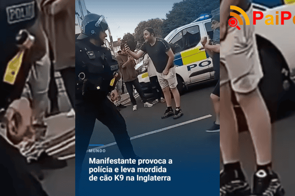 Manifestante provoca a polícia e leva mordida de cão K9 na Inglaterra