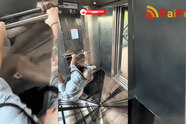 Reação Inesperada: Pessoas entram no elevador e o chão simplesmente “despenca”!