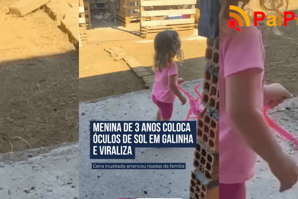 Menina de 3 anos coloca óculos de sol em galinha e viraliza