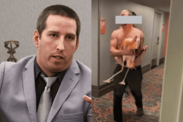 Absurdo! Hóspede sequestra um flamingo do hotel, e sentença pode virar exemplo de proteção aos animais