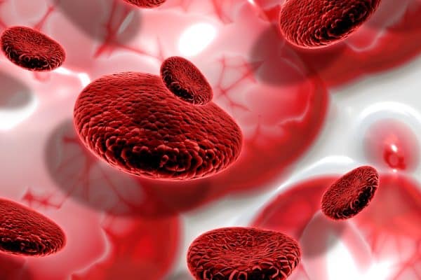 Alerta de Hematologista: Anemia Não Tratada Pode Sobrecarregar o Coração