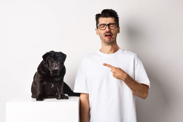 Excesso de Carinho Pode Gerar Dependência Emocional em Cães, Alertam Especialistas