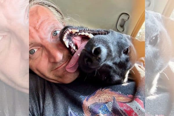 Tutor nos EUA processa cidade para impedir eutanásia de cão de serviço