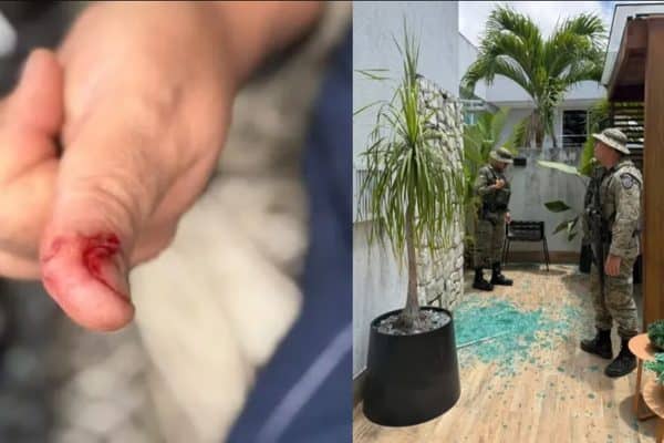 Macaco de ex-deputado causa tumulto em Salvador após ingerir álcool e remédios