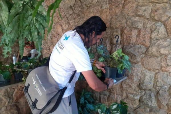 Prefeitura de BH pede denúncias de focos de dengue diante de alerta para nova epidemia