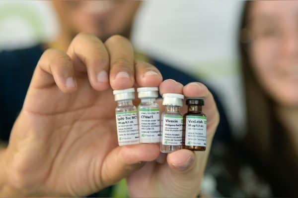 Vacina contra malária será testada em humanos em Belo Horizonte