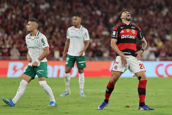 Palmeiras retoma controle na busca pelo título do Brasileirão após 29ª rodada