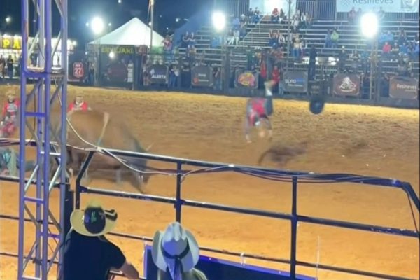 Touro arremessa salva-vidas durante rodeio em Itapeva; profissional diz estar bem