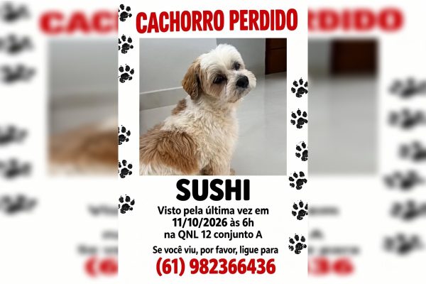 Família procura por cachorro desaparecido em Taguatinga