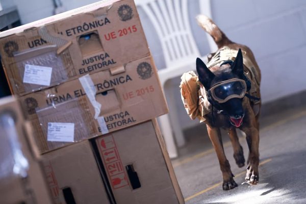 PMDF Realiza Vistoria em Urnas Eletrônicas com Cães Farejadores a 5 Dias do 2° Turno