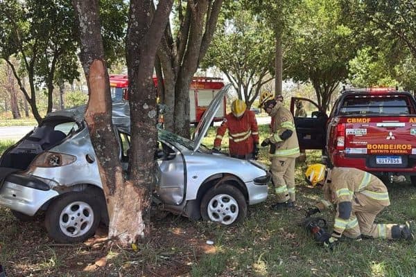 Motorista de 42 anos falece ao colidir carro em árvore na BR-020, próximo ao balão do Colorado