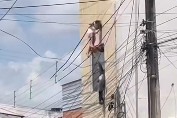 Criança fica presa à fiação após cair do 2º andar de prédio em Alagoas