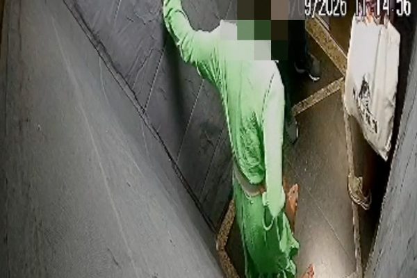 Advogada que afirma ser casada com Elon Musk encurralou vizinha em elevador