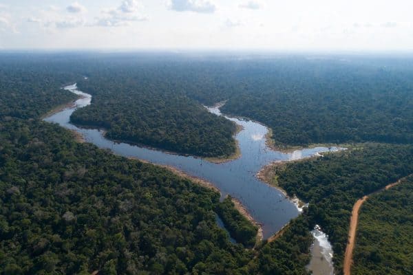 Aquecimento acelerado e secas severas aproximam a Amazônia do colapso