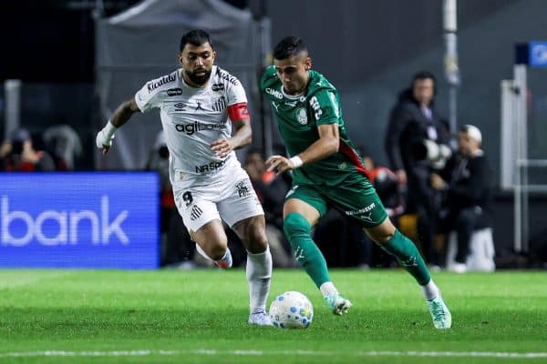 Santos e Palmeiras ficam no empate, e Flamengo continua na liderança do Brasileirão