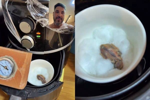 Homem resgata filhote de passarinho e improvisa abrigo em air fryer