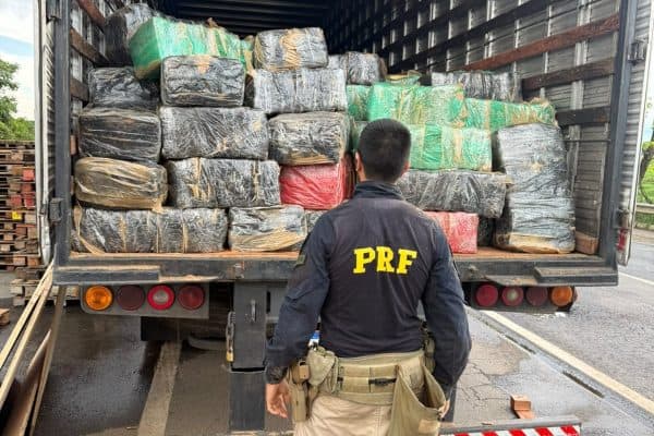 Polícia apreende 3,5 toneladas de skunk ocultas em carga de caminhão