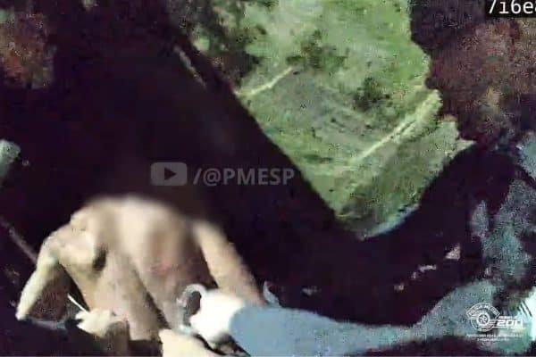 Homem mantém filho de 3 anos refém e ameaça explodir casa com gás em SP. Vídeo