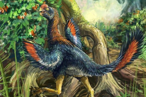 Fóssil revela dinossauro que se alimentava de frutas há 66 milhões de anos