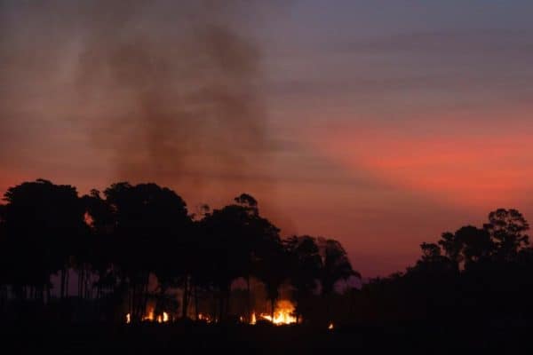 Amazonas tem queda de 39% nos focos de queimadas em outubro